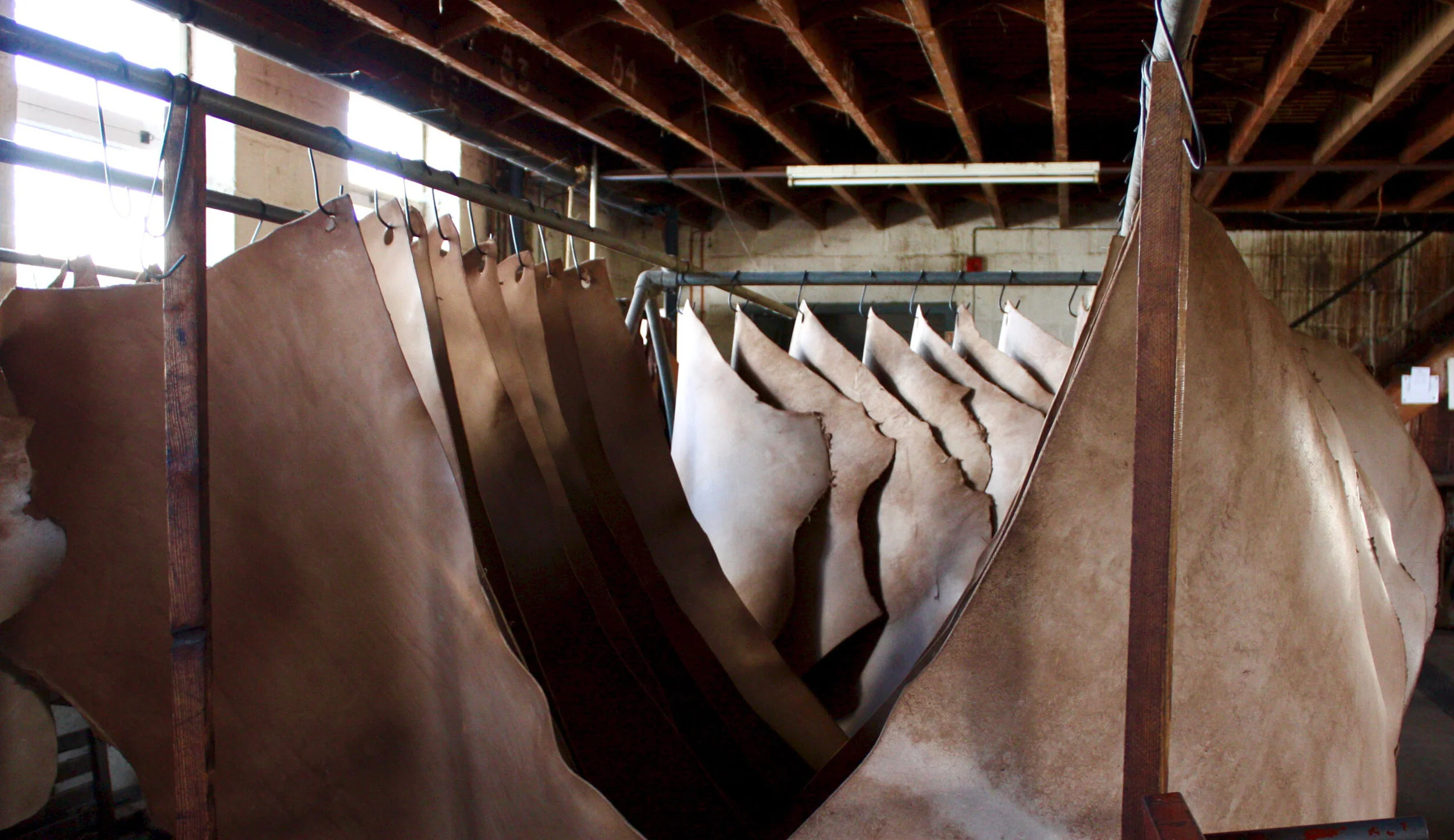 Baker Oak Bark Porosus / TONGUE 小物 2024 Baker Oak Bark Porosus